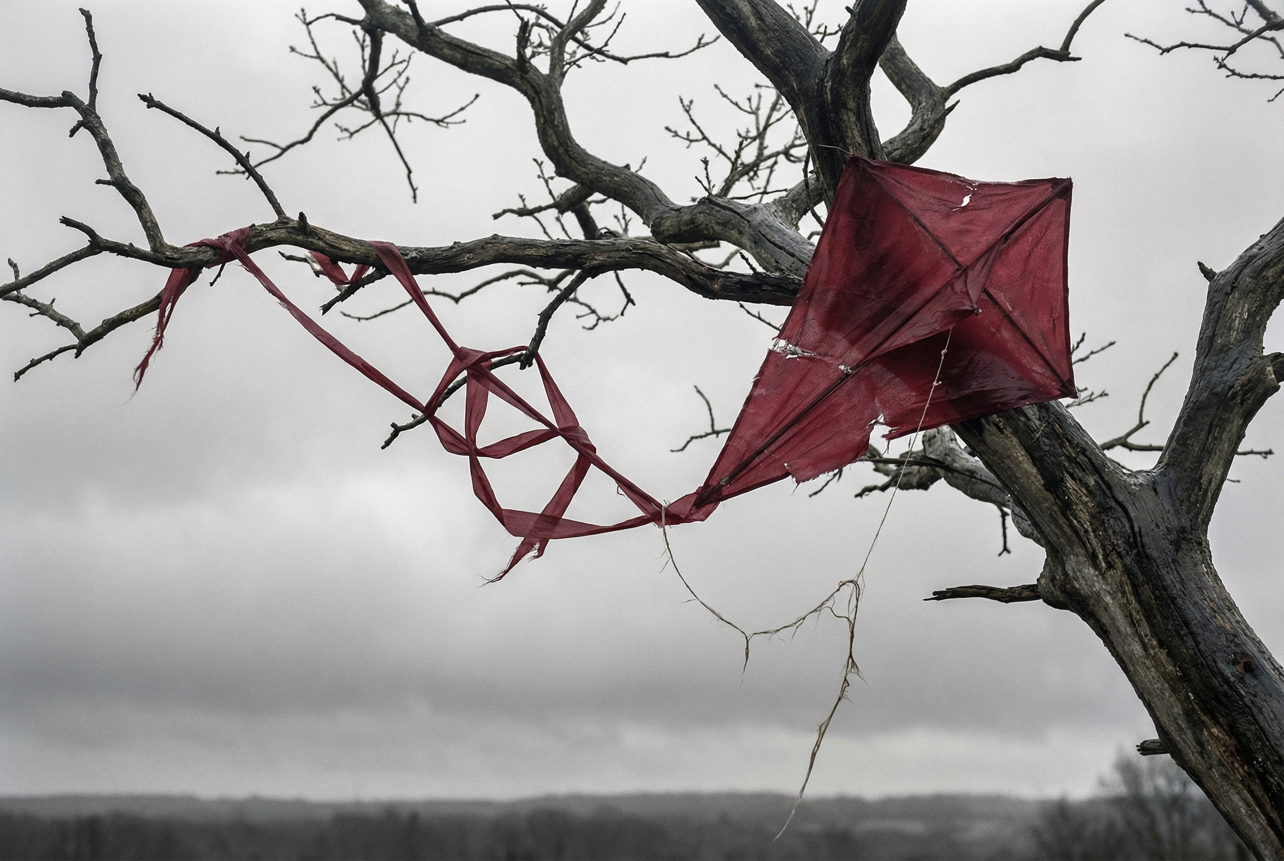 Crimson Echo in the Skeletal Grey