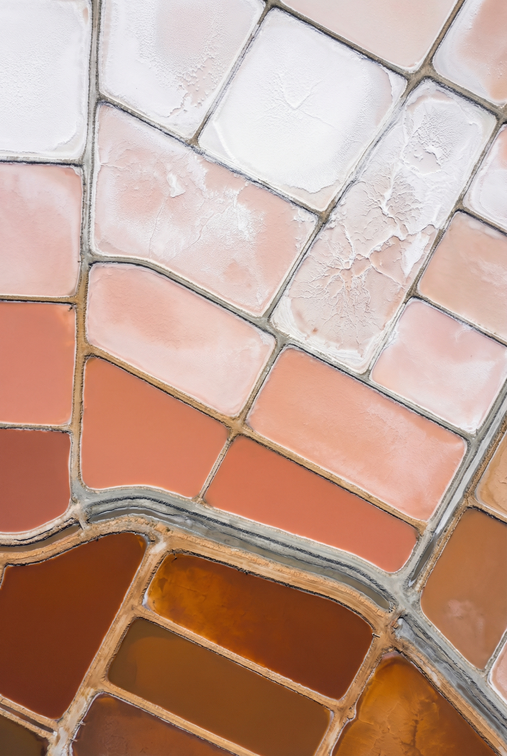 Mineral Alchemy: The Crystalline Mosaic