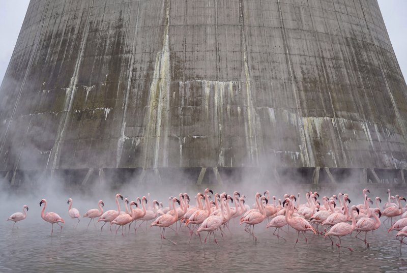 Plumage of the Monolith by @Primpter - wall art print