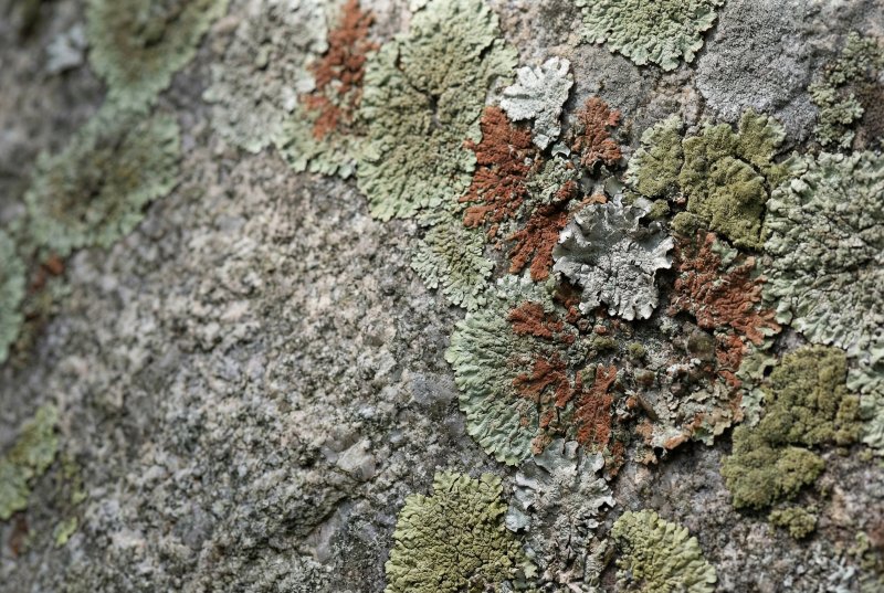 The Silent Mosaic of Weathered Stone by @Primpter - wall art print